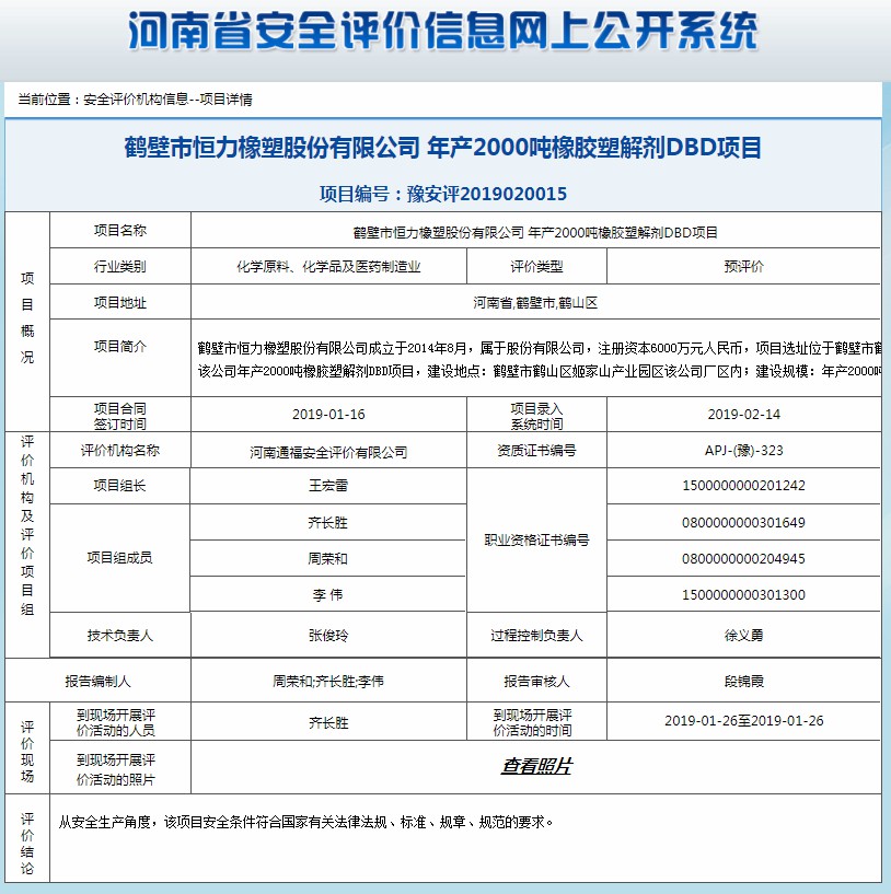 鹤壁市恒力橡塑股份有限公司项目